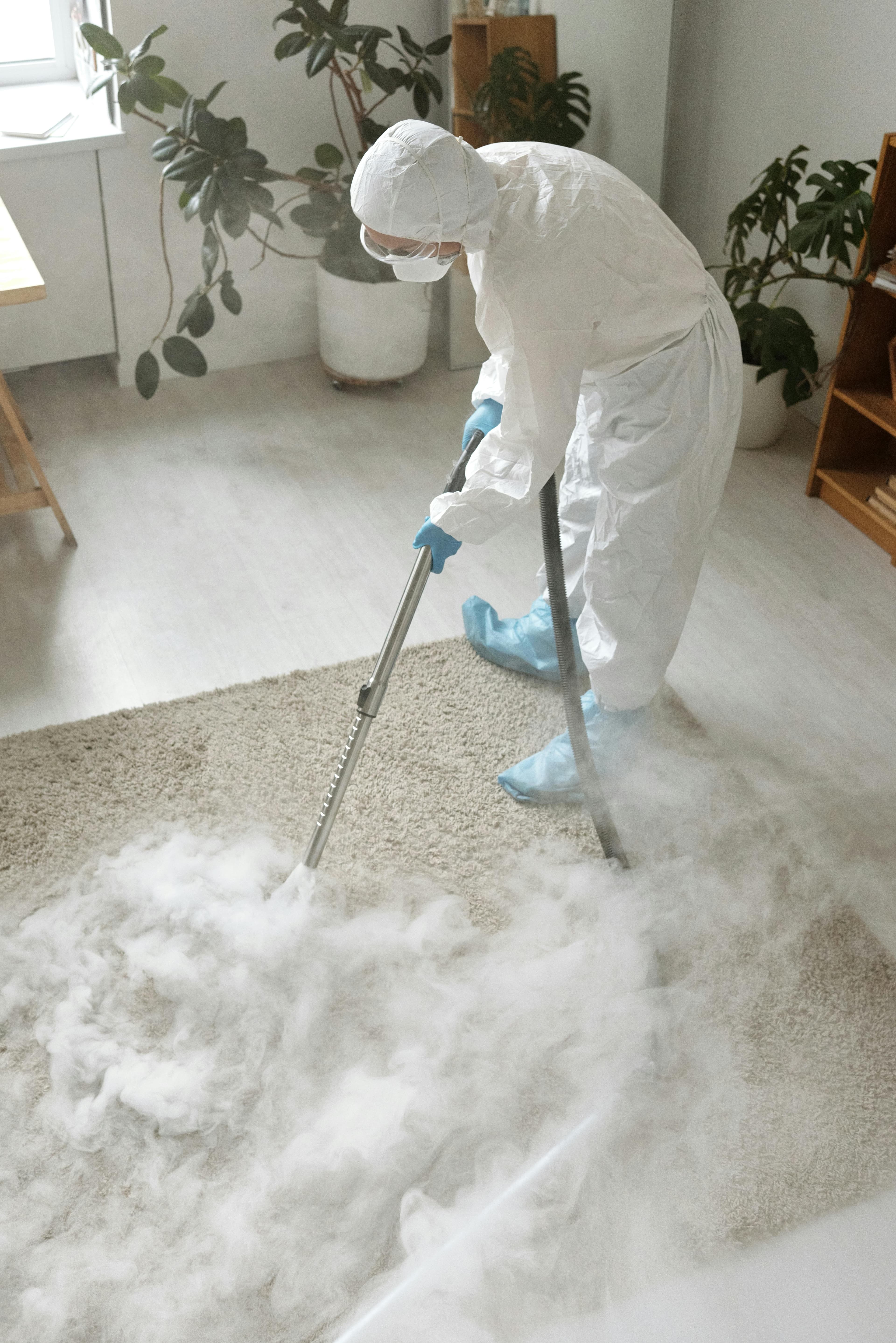 Carpet Steam Clean