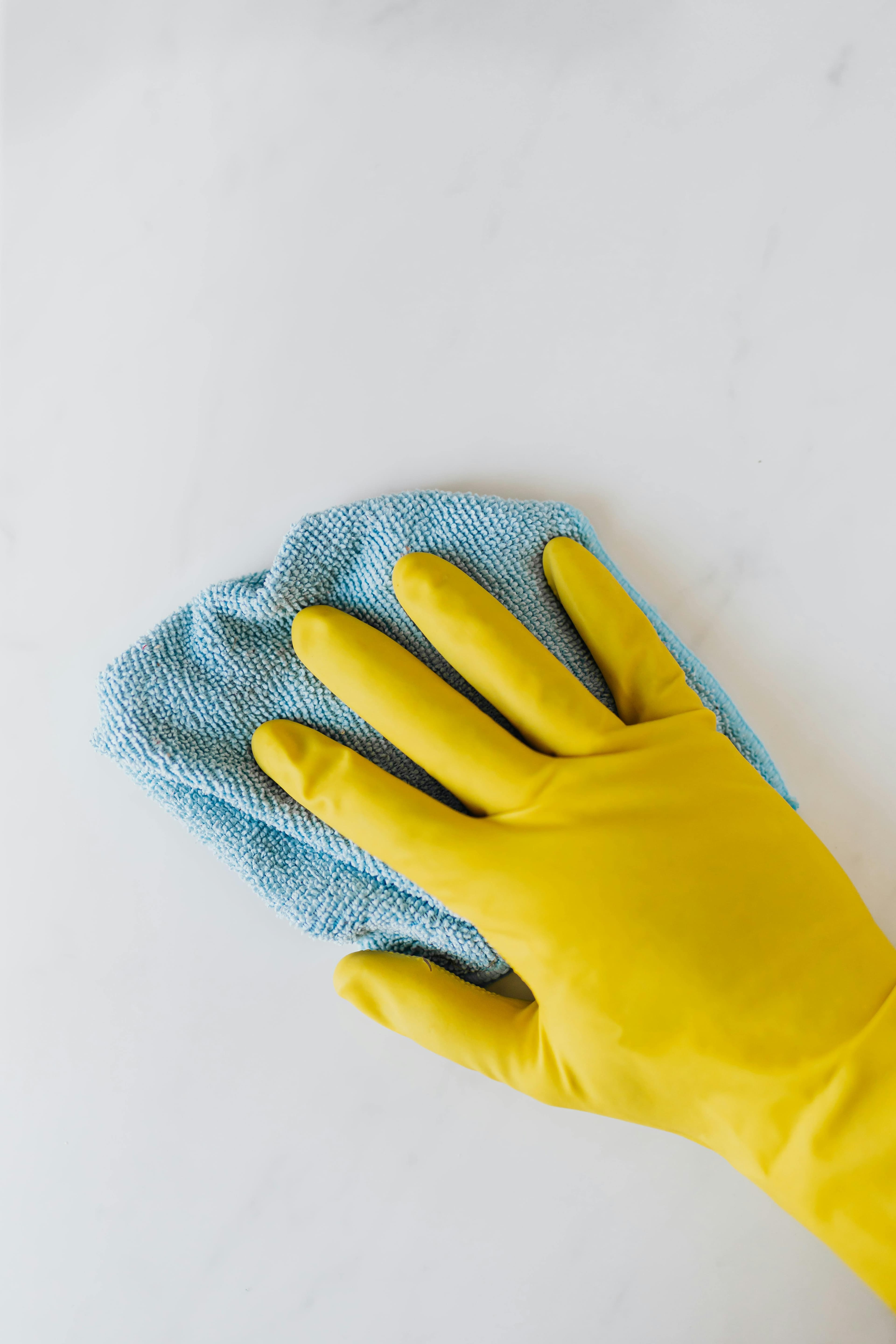 Cleaning Ninja team at work
